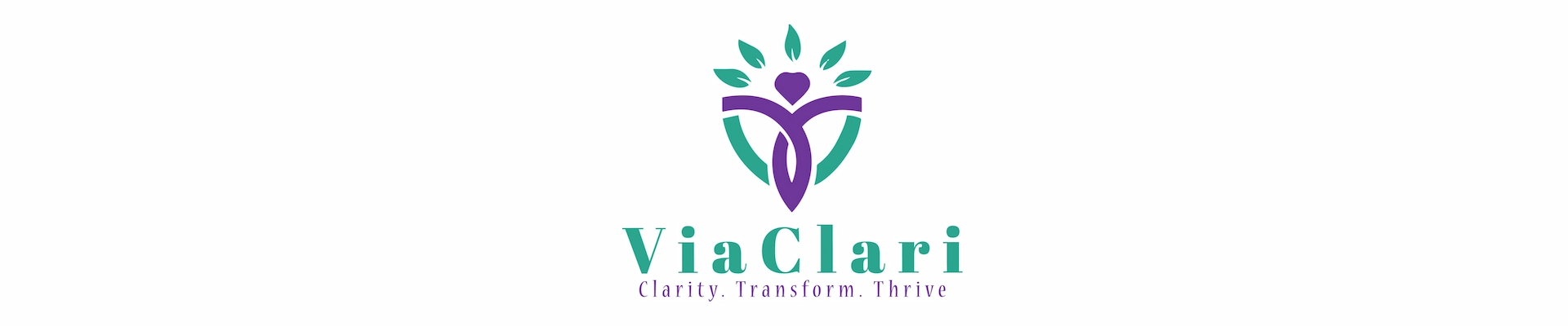 ViaClari Banner ViaClari Company Logo Banner